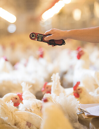 凯时KB88·(中国区)官方网站