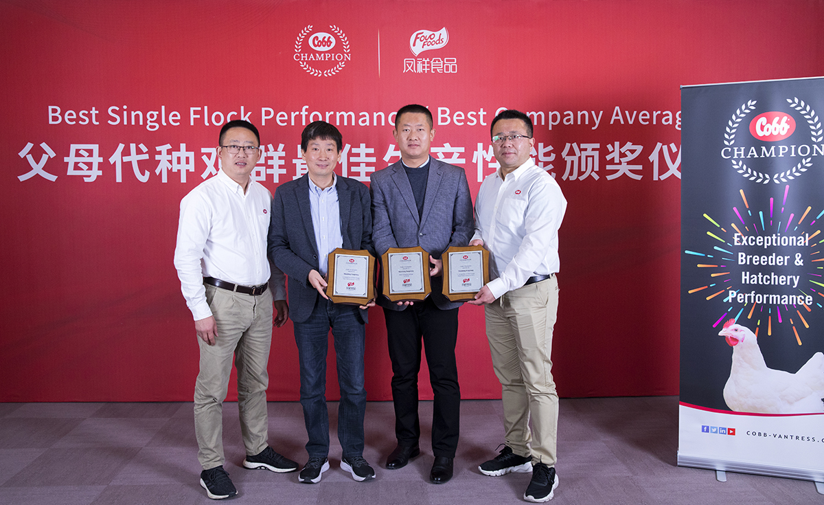 凯时KB88·(中国区)官方网站